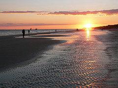 Hilton Head Vacation Rentals