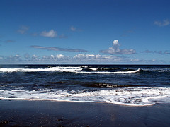 Kohala Coast