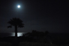 Kohala Coast Nights