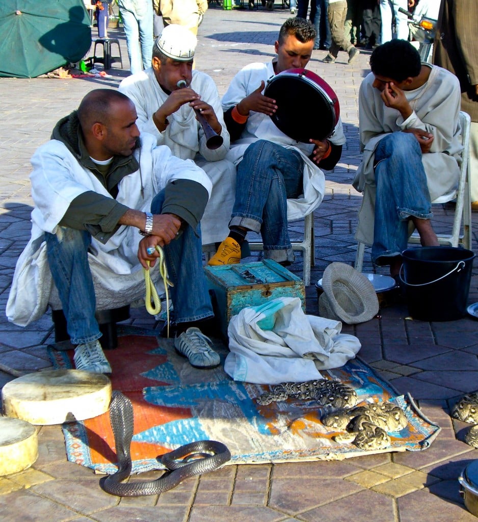 Snake Charmers Jemaa el Fna Marrakech Morocco