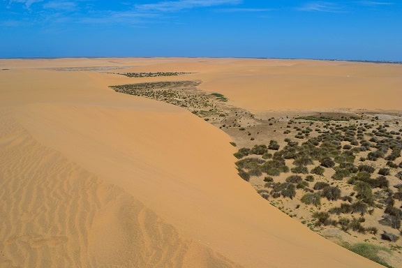 Namib Desert Namibia