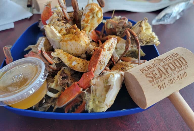 10 Best Punta Gorda Restaurants that Prove it’s a Foodie Town