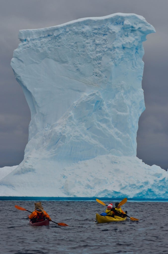 Pleneau Bay Antarctica