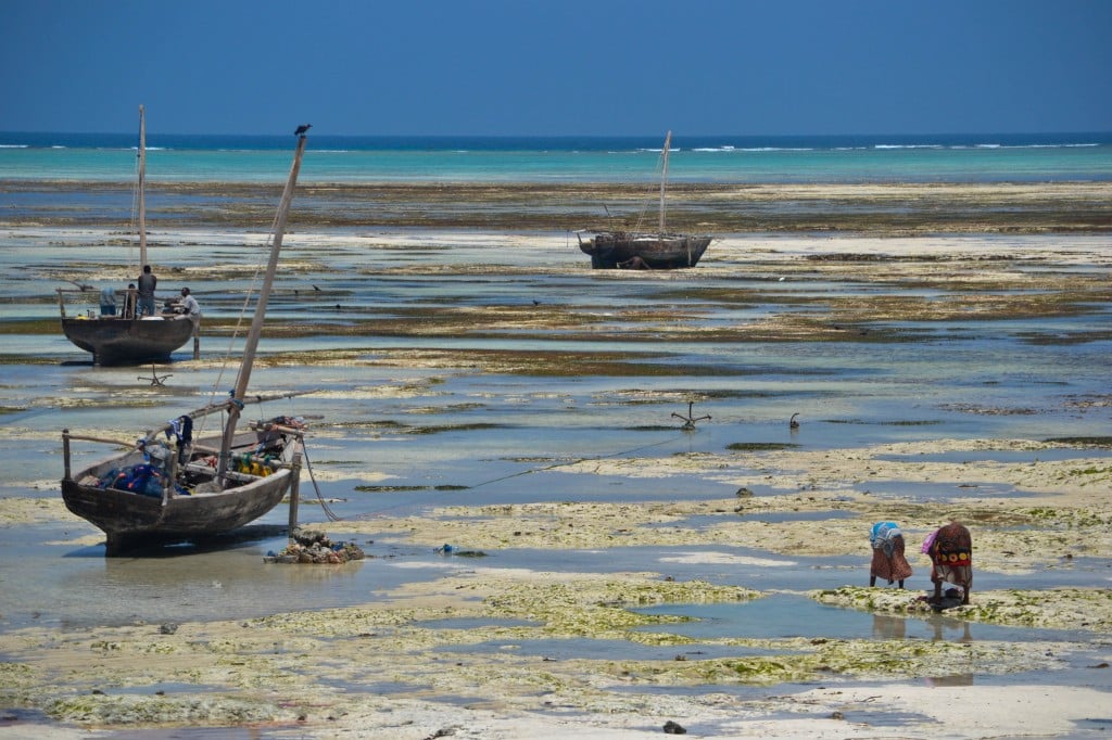 Dhows Nungwi Beach Zanzibar
